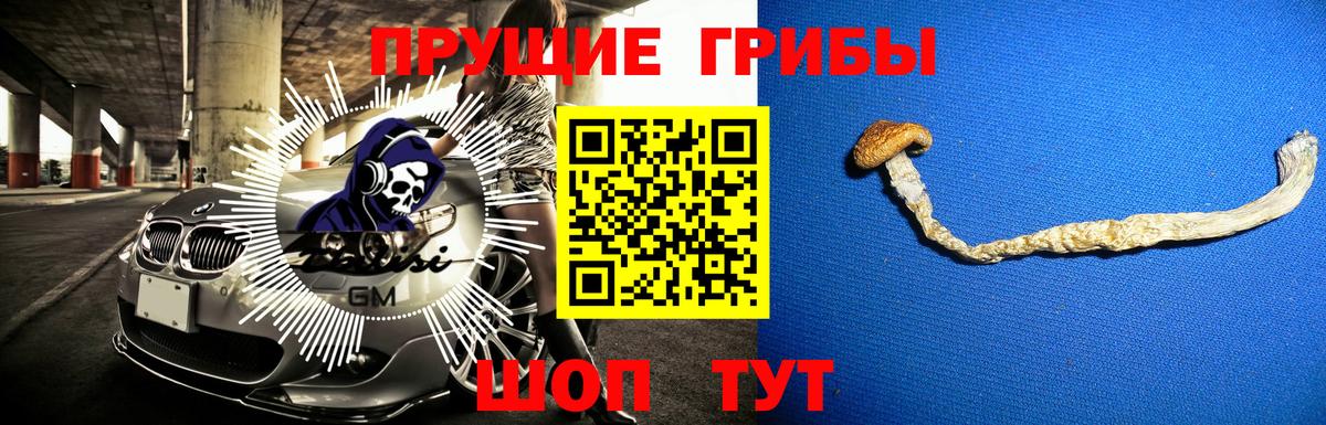 дарнет шоп  Вход с VPN  Котовск  Псилоцибиновые грибы прущие грибы 
